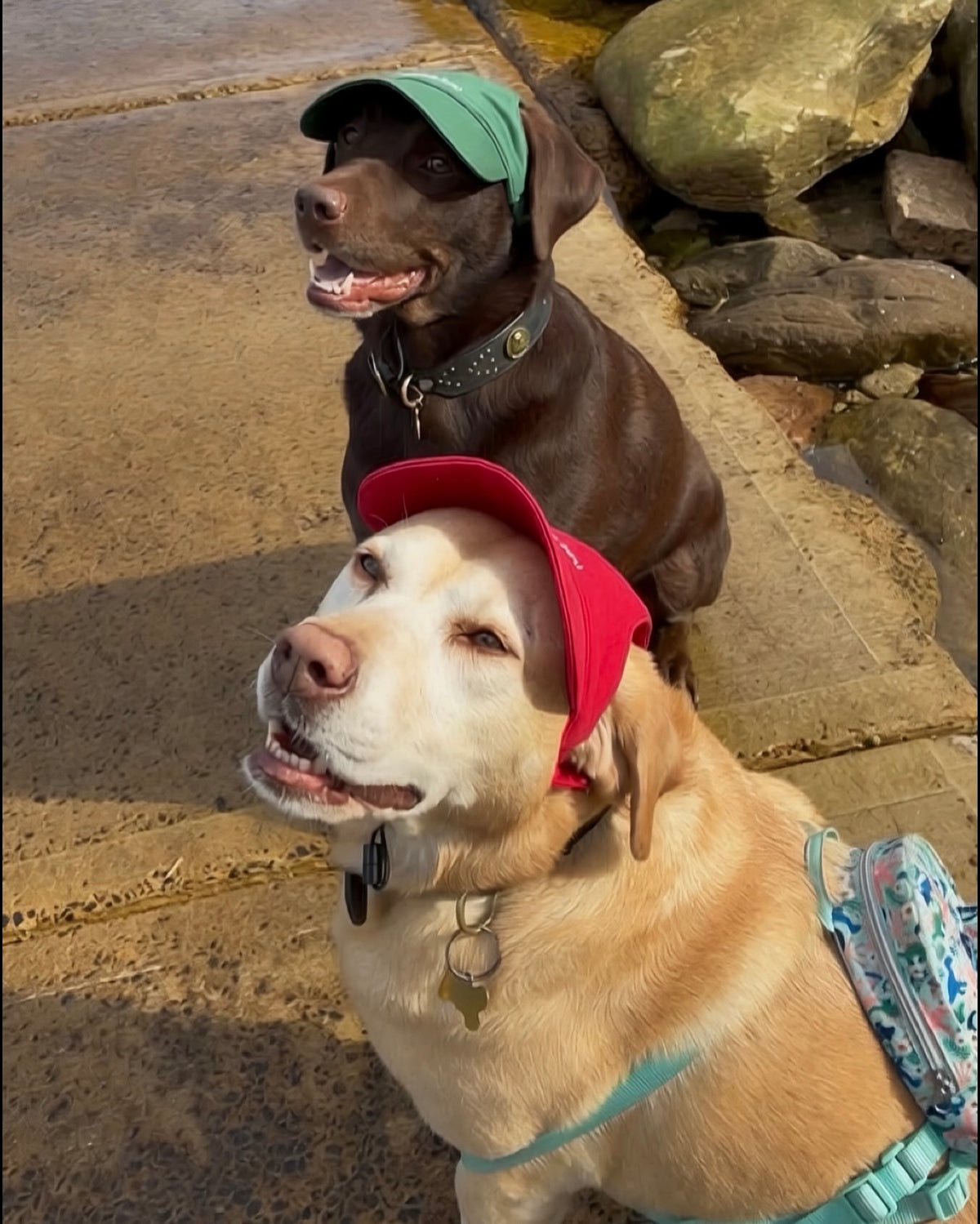 Red Cap