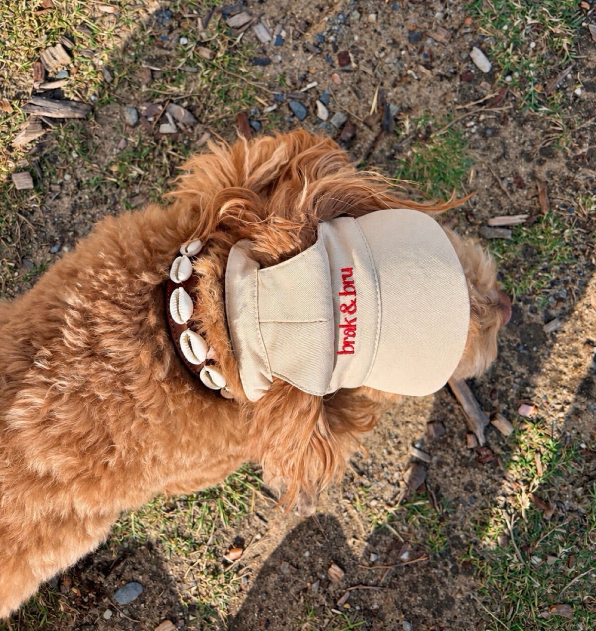 Sand Cap