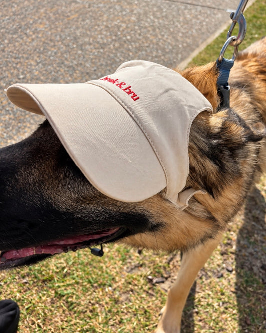 Sand Cap