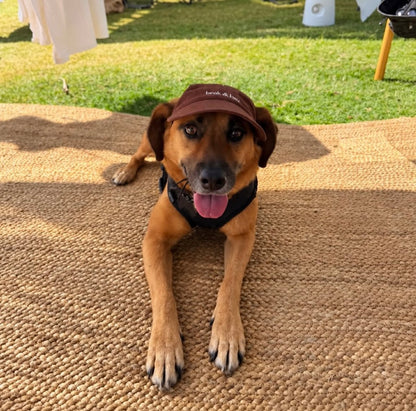 Brown Cap