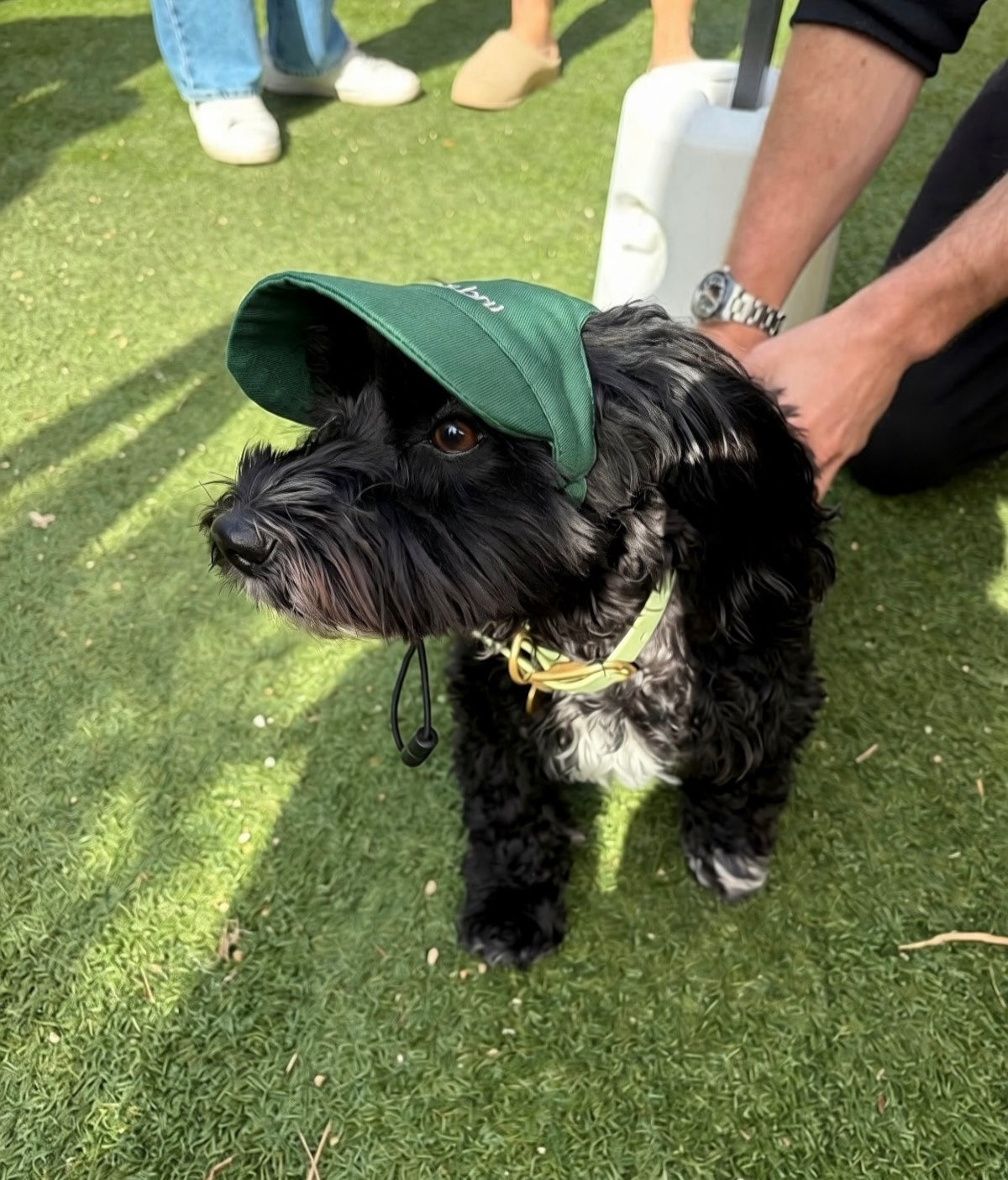 Green Cap