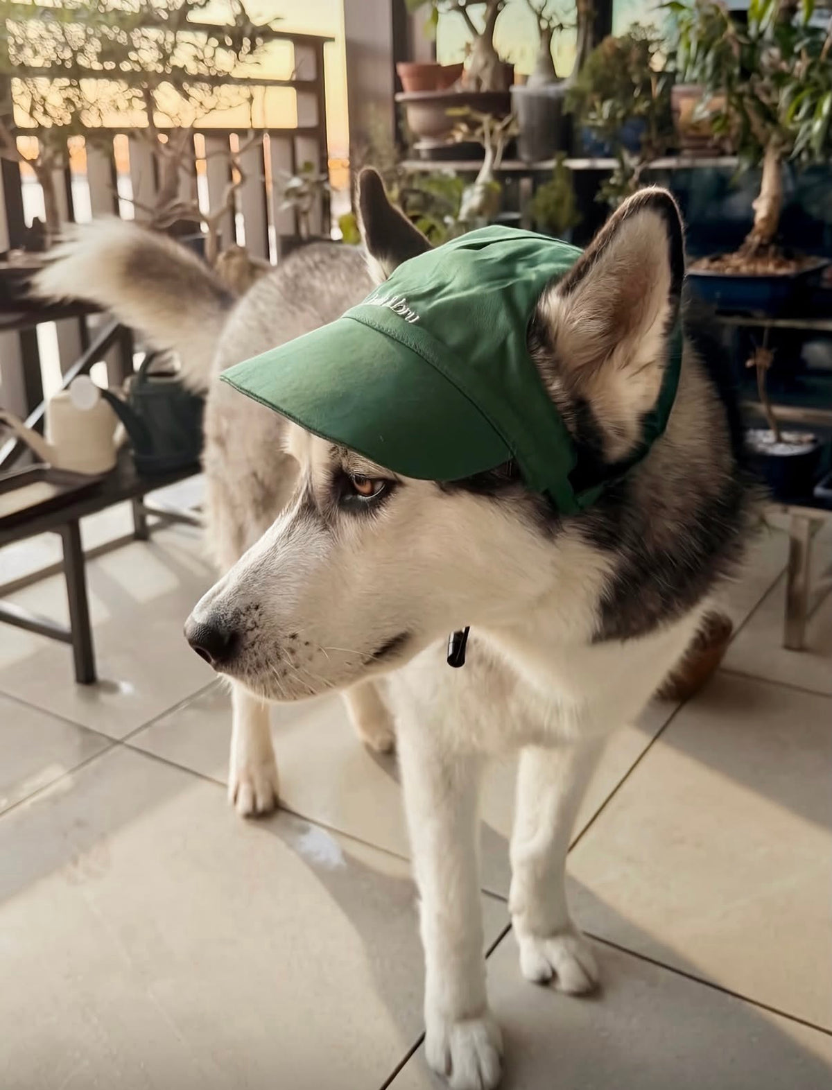 Green Cap