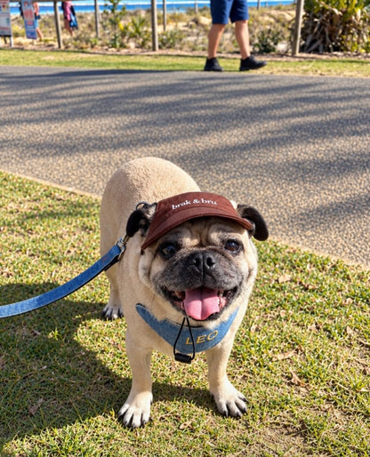 Brown Cap