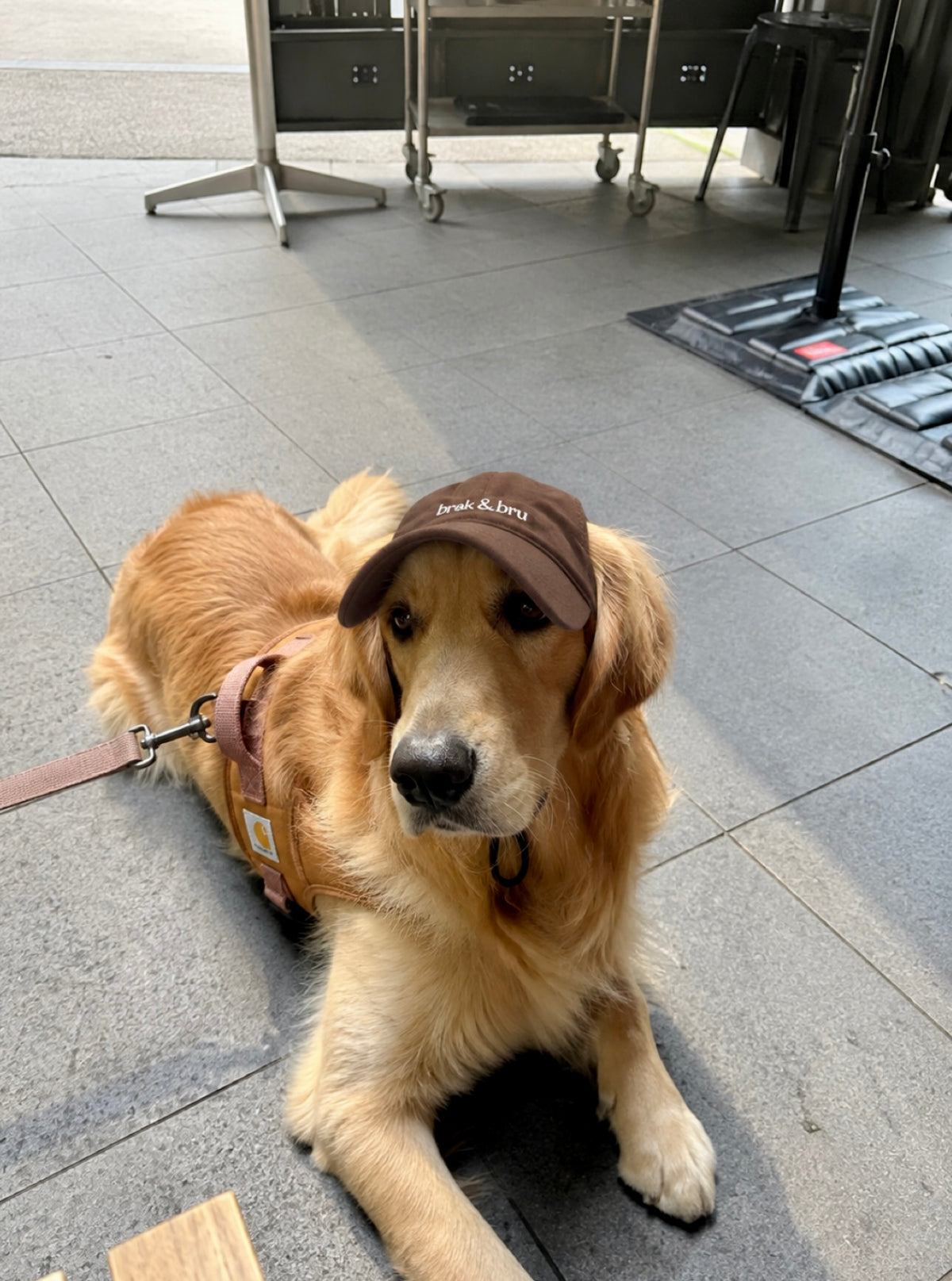 Brown Cap