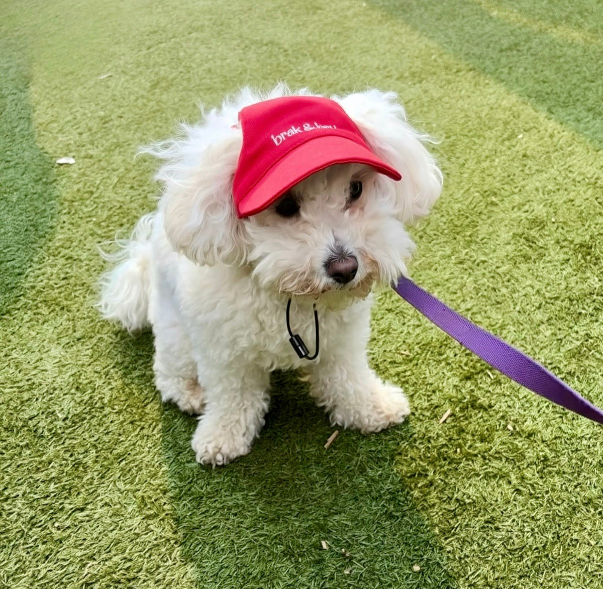 Red Cap