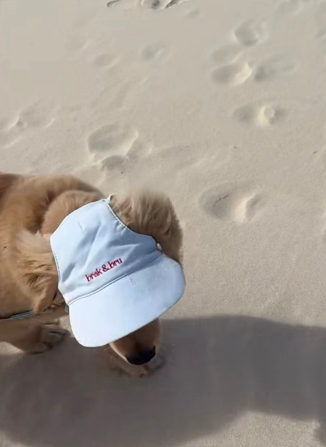 Light Blue Cap