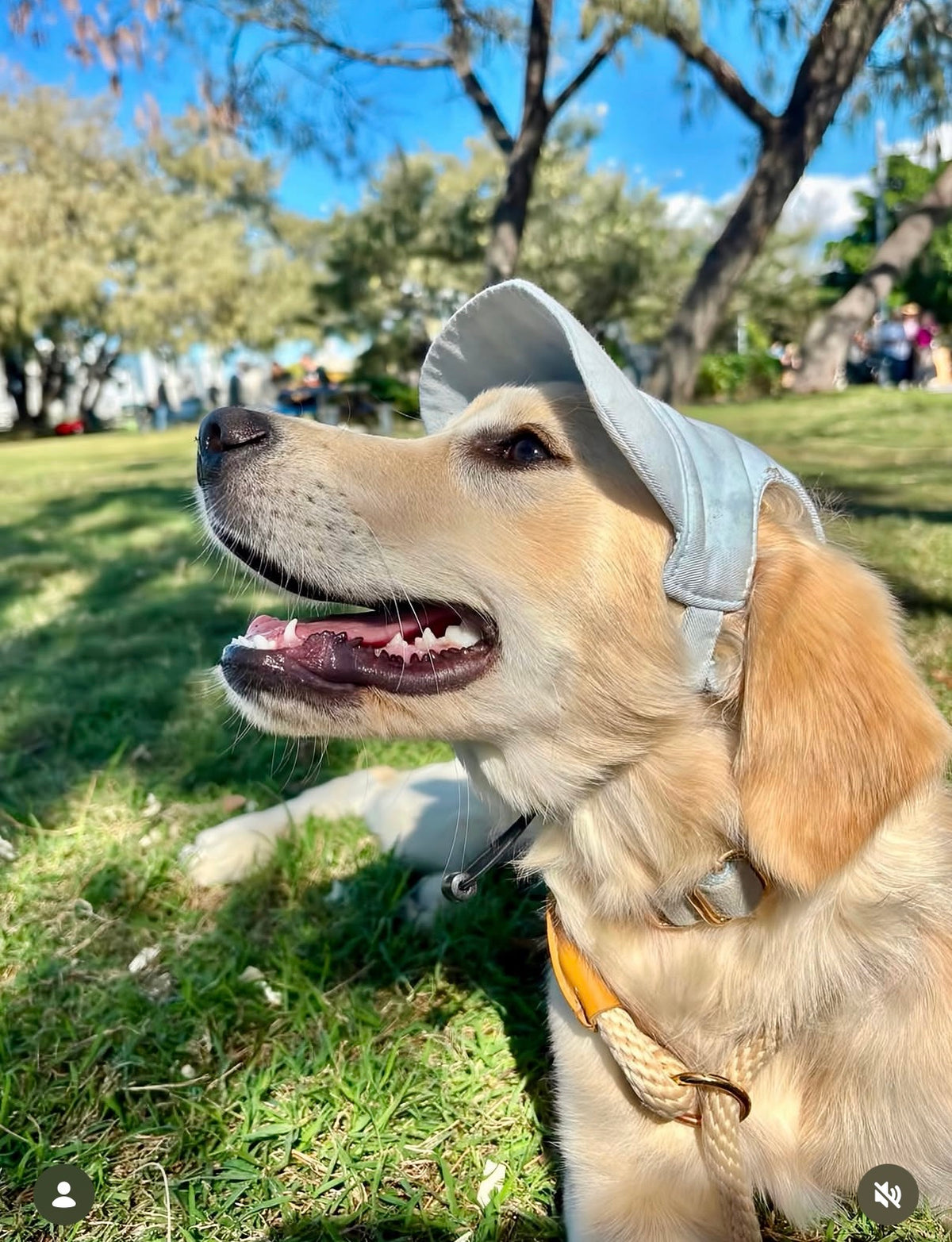 Light Blue Cap