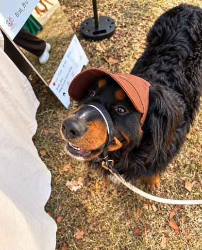 Brown Cap